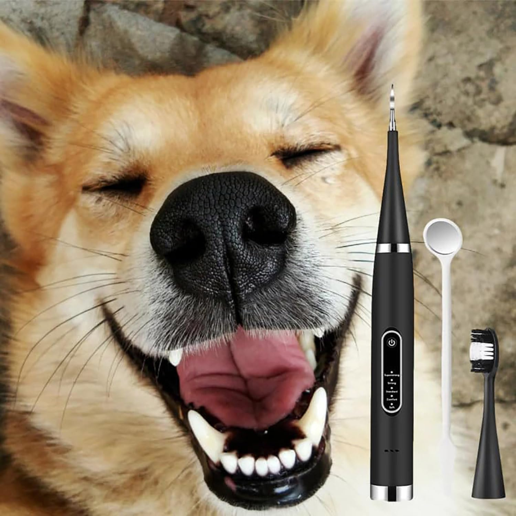 An Electric Toothbrush And Cleaner Set for human and pets