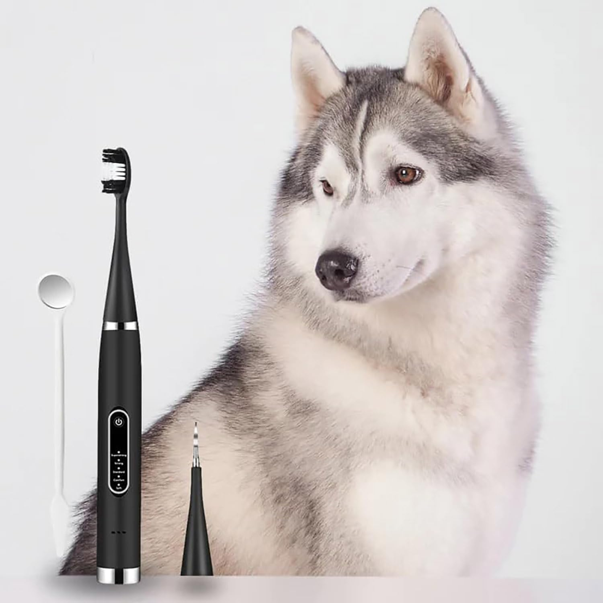 An Electric Toothbrush And Cleaner Set for human and pets