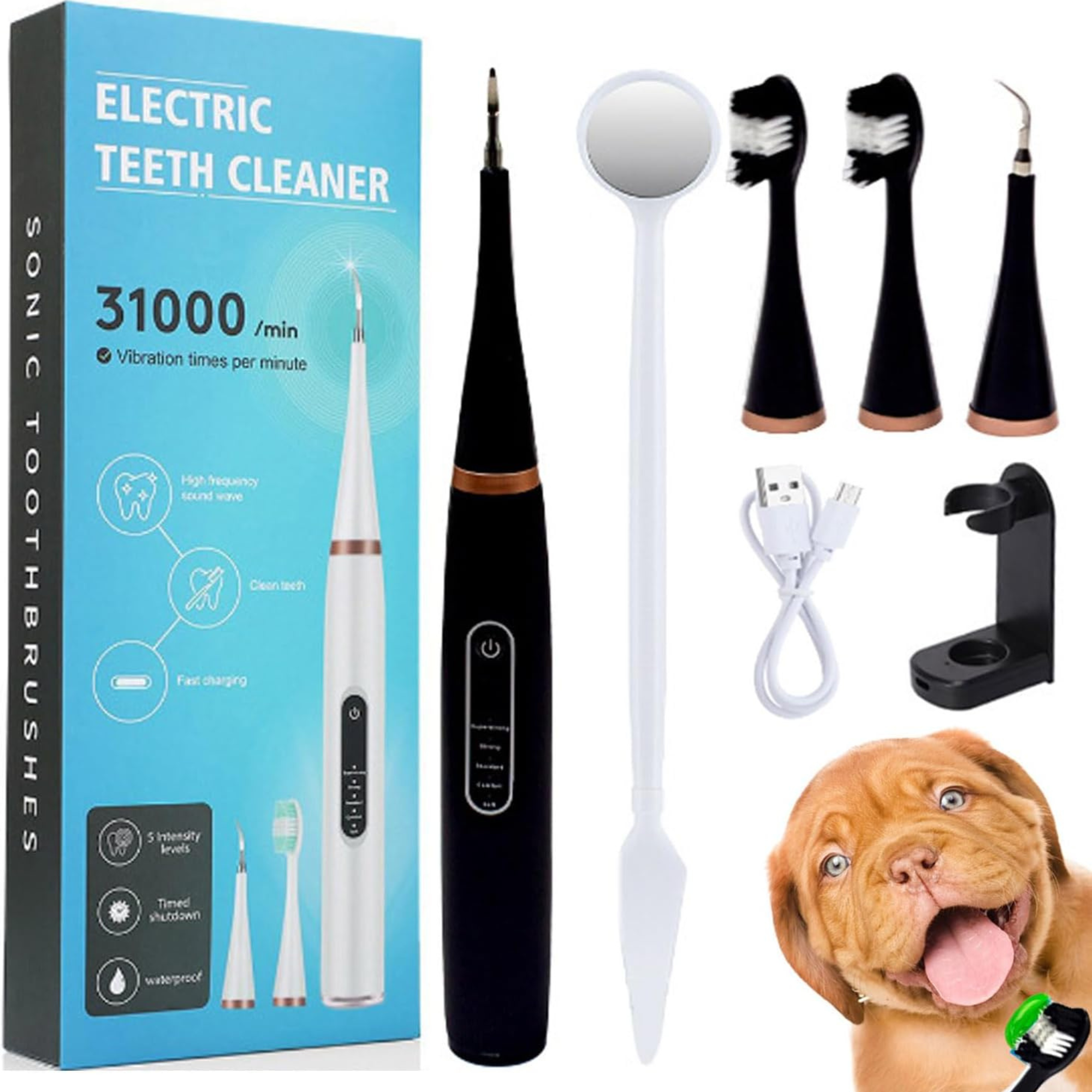 An Electric Toothbrush And Cleaner Set for human and pets