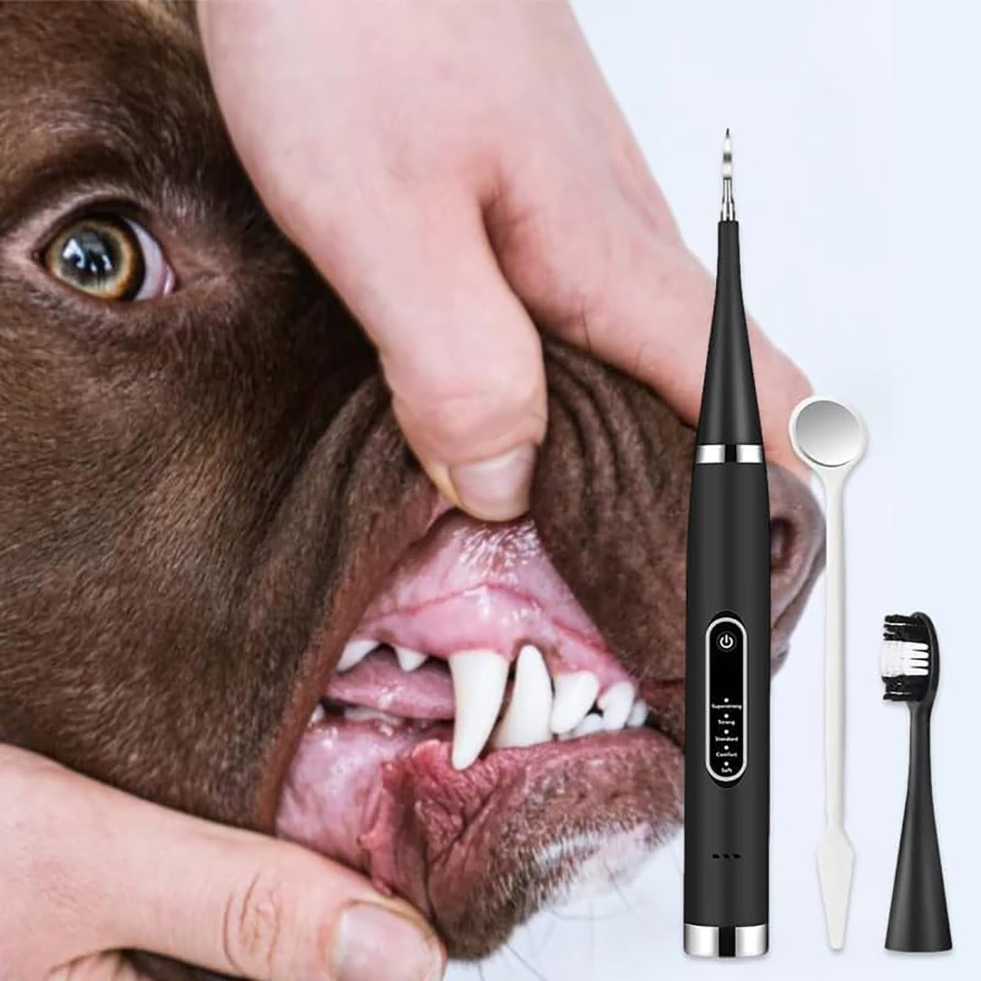 An Electric Toothbrush And Cleaner Set for human and pets